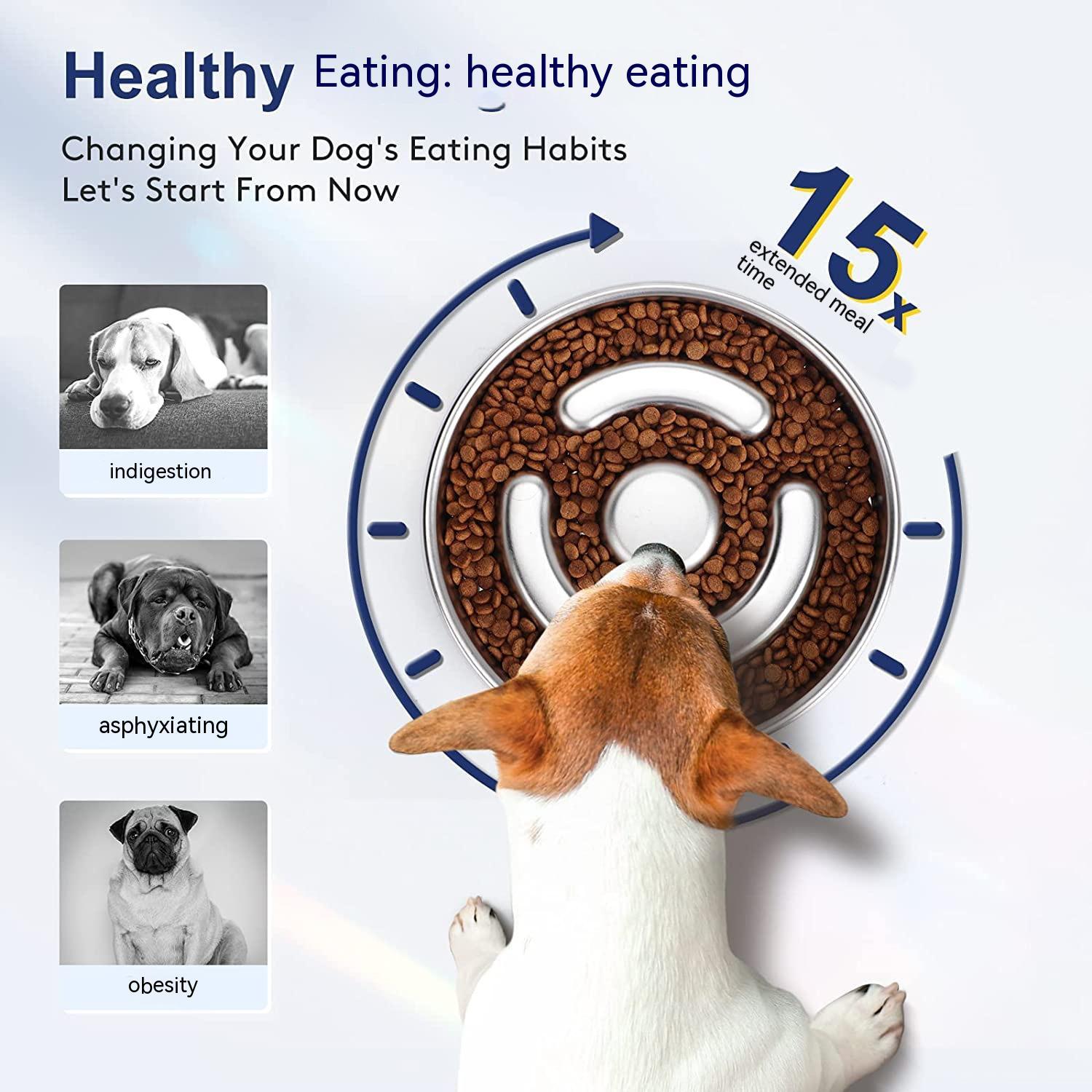 Le StormyzCalm™ GentleNeck Bowl